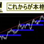 【イーサリアム ETH】来週も上昇して最高値更新する。100ETHロング中。現物もロングポジションもまだまだホールドする。