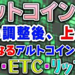 【ビットコイン＆イーサリアム＆リップル＆ネム＆モナコイン＆イーサリアムクラシック＆シンボル＆IOST】仮想通貨　軽い調整から再度上を試す？！今後、気になるアルトコインも紹介！