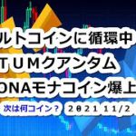 仮想通貨 アルトコインに循環中！？ QTUMクアンタム一時40％爆上げ,MONAモナコインも続く！【11月2日】