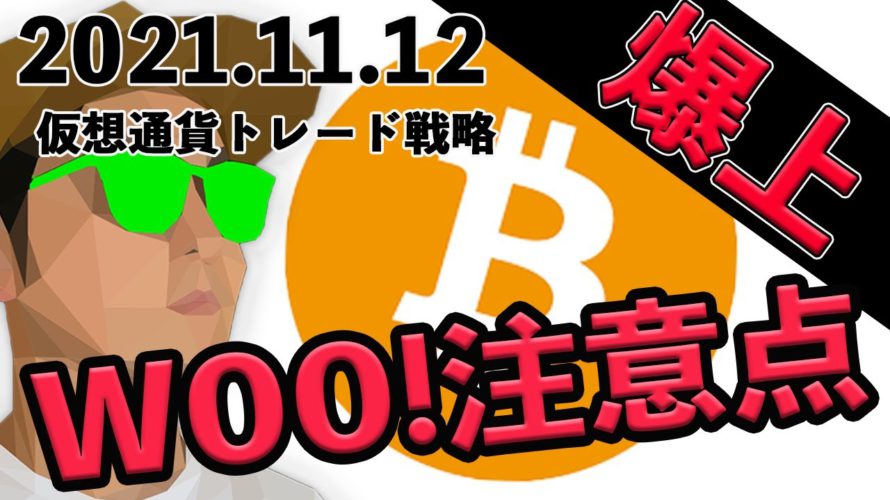 ビットコイン調整終了?WOOステーキング年間利回り193%!注意点!