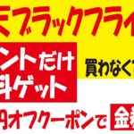 【楽天ブラックフライデー】楽天ポイント無料ゲット＆クーポン使った金券攻略でポイント消化＆お得な商品情報