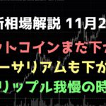 引き続き乱高下が続くか｜ビットコイン、イーサリアム、リップルの値動きを解説