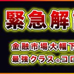 【暴落】ビットコイン・新型コロナウィルスの拡大懸念から急落。今後の対応を緊急解説【仮想通貨・戦略を先出しで毎日更新】