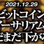 ビットコイン・イーサリアムまだまだ下がる！？［2021/12/29］【仮想通貨】