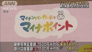 マイナポイント第2弾 来月にも 最大2万円を付与(2021年12月6日)
