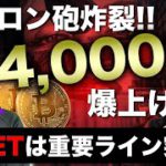 ビットコイン低調の中、ADA、10SET急騰！イーロン砲は健在。犬系コインに注目 BTC ETH XRP IOST ADA 10SET