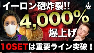ビットコイン低調の中、ADA、10SET急騰!イーロン砲は健在。犬系コインに注目 BTC ETH XRP IOST ADA 10SET
