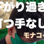 【モナコイン】全く見せ場なしモナコインチャート分析#仮想通貨#BTC#モナコイン