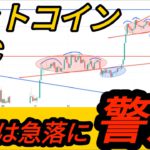 【土,日急落警戒】ビットコイン,仮想通貨に投資している方は絶対に見て下さい【相場分析】BTC