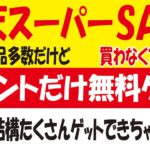 【楽天スーパーSALE】無料で楽天ポイントゲット情報＆おトクな商品！