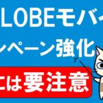 【格安SIM】BIGLOBEモバイルキャンペーン強化！解約後に料金発生！？お得ですが注意点も多いので気を付けてください。