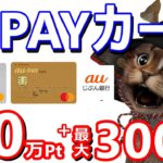 auPAYカード冬の大還元祭最大10万Pontaポイント！更にauじぶん銀行を持っていれば現金最大3000円ゲット！たぬきの大恩返し「冬」と組み合わせも抜群です