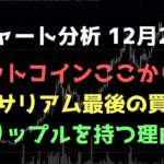 最後の買い場だと思うワケ｜ビットコイン、イーサリアム、リップルの値動きを解説