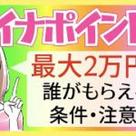 【最新情報】マイナポイント第二弾！マイナンバーカードで２万円！支給はいつ？条件は？注意点も併せて解説！