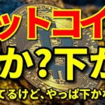 【暗号資産 ビットコイン 相場分析】日足次第でもう一段の上昇はあるかもだけど転換の判断はまだ無理（朝活配信620日 毎日チェックするだけで勝率アップ）