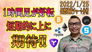 【仮想通貨 ビットコインBTC & アルトコイン 分析】1時間足が好転!!短期的な上に期待!!
