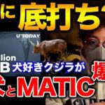 【ビットコイン底打ち？】クジラがBTCや柴犬、MATICを買い増し！強気相場は近い？BTC ETH MATIC IOST LUNA LINK