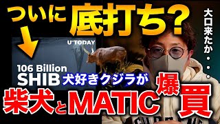 【ビットコイン底打ち?】クジラがBTCや柴犬、MATICを買い増し!強気相場は近い?BTC ETH MATIC IOST LUNA LINK