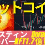 ジャスティンビーバー、NFTを５００ETHで買う！ビットコインは下落までのカウントダウン！　 #BTC #ETH #仮想通貨