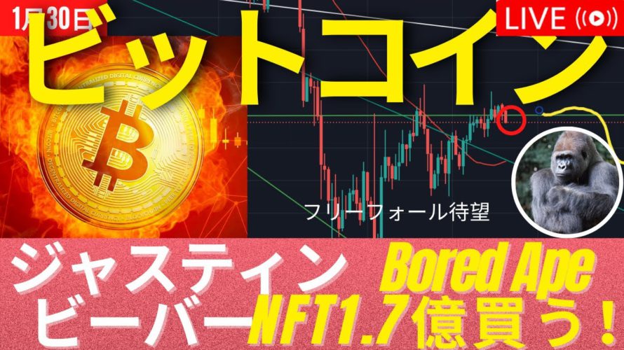 ジャスティンビーバー、NFTを５００ETHで買う！ビットコインは下落までのカウントダウン！　 #BTC #ETH #仮想通貨