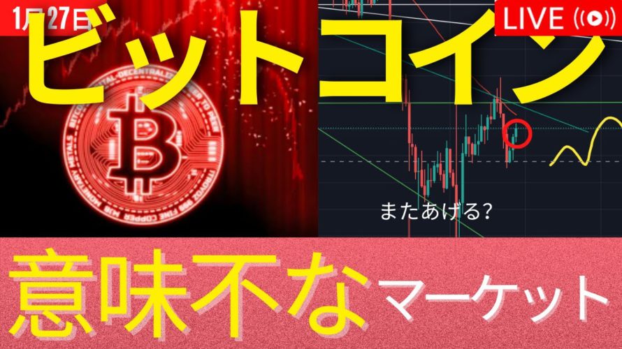 テスラ下落、ビットコイン上昇、SP500上昇なイミフな市場w　 #BTC #ETH #仮想通貨