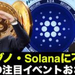 今週の重要イベントの確認！カルダノ・Solanaに不信感⁉️