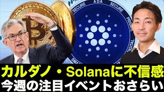 今週の重要イベントの確認！カルダノ・Solanaに不信感⁉️