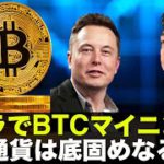 テスラでビットコインマイニング⁉️仮想通貨は底固めなるか⁉️