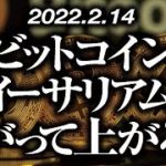 ビットコイン・イーサリアム［2022/2/14］【仮想通貨・BTC・ETC】