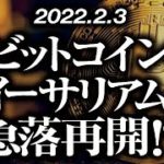 ビットコイン・イーサリアム急落再開！？［2022/2/3］