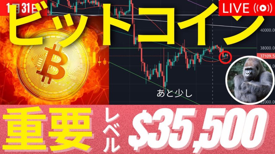 $35,500抜けると一気に底へ！クジラは今週くるか？！　 #BTC #ETH #仮想通貨