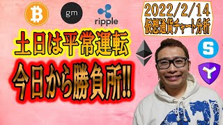 【仮想通貨 ビットコインBTC & アルトコイン 分析】土日は平常運転!!今日からが勝負!!