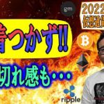 【仮想通貨 ﾋﾞｯﾄｺｲﾝBTC ＆ ｱﾙﾄｺｲﾝ 分析】決着つかず!!時間切れ感もあるか!?