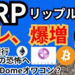 リップルのアレ爆増で爆上げ⁉️エバードームはオワコン⁉️仮想通貨ニュース+BTC ETH XRP DOME チャート分析