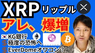 リップルのアレ爆増で爆上げ⁉️エバードームはオワコン⁉️仮想通貨ニュース+BTC ETH XRP DOME チャート分析