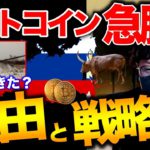 【ビットコイン急騰】理由と戦略。BTC$200,000予想の根拠は？！イーサも$26,000突破する予想がすごい BTC ETH XRP IOST SHIB ALICE DOME