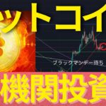 ビットコインの将来はメタバースと機関投資家で眩しい？Digital NomadがFIREに最強のライフスタイル #BTC #ETH #仮想通貨