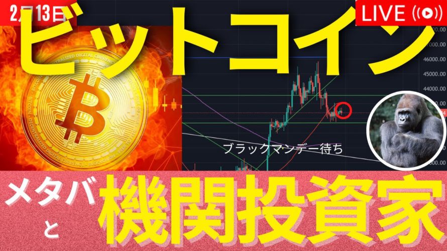ビットコインの将来はメタバースと機関投資家で眩しい?Digital NomadがFIREに最強のライフスタイル #BTC #ETH #仮想通貨
