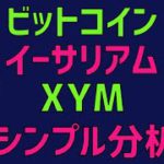 動きが無いので面白く無いビットコイン動画です🙇‍♂️今日のアップデートとして見て下さい😙ビットコイン・イーサリアム・シンボル(XYM)📈分析とコインマーケットキャップ・ドルインデックス解説🔥