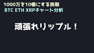 リップルの大量買いで勝負していく｜ビットコイン、イーサリアム、リップルの値動きを解説