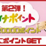 第2弾【マイナポイント】 合計20000ポイントの詳細を解説