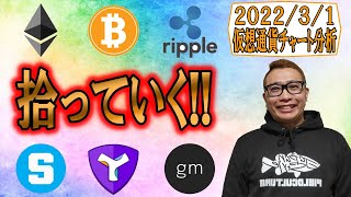 【仮想通貨 ビットコインBTC & アルトコイン 分析】落ちたら拾っていきたいチャート!!