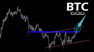 不甲斐ない【BTC ビットコイン】