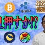 【仮想通貨 ﾋﾞｯﾄｺｲﾝBTC ＆ ｱﾙﾄｺｲﾝ 分析】一旦押し目を作るか!?