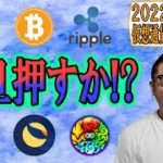 【仮想通貨 ﾋﾞｯﾄｺｲﾝBTC ＆ ｱﾙﾄｺｲﾝ 分析】一旦押し目を作るか!?