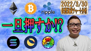 【仮想通貨 ﾋﾞｯﾄｺｲﾝBTC ＆ ｱﾙﾄｺｲﾝ 分析】一旦押し目を作るか!?