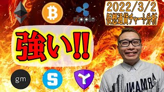 【仮想通貨 ビットコインBTC & アルトコイン 分析】強い状態を維持!!下の可能性も見つつ攻める!!