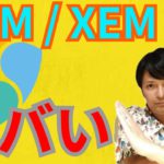 仮想通貨ネム(NEM/XEM)は正直に言うとヤバいです