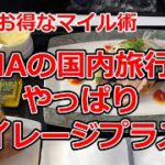 ANA国内旅行はやっぱりマイレージプラス【ANAお得なマイル術、有村歩侑（ポウ）】