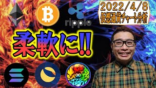 【仮想通貨 ビットコインBTC & アルトコイン 分析】下げ止まり感も見つつ柔軟に対応!!